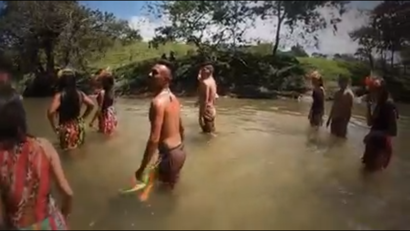Imagen de galería