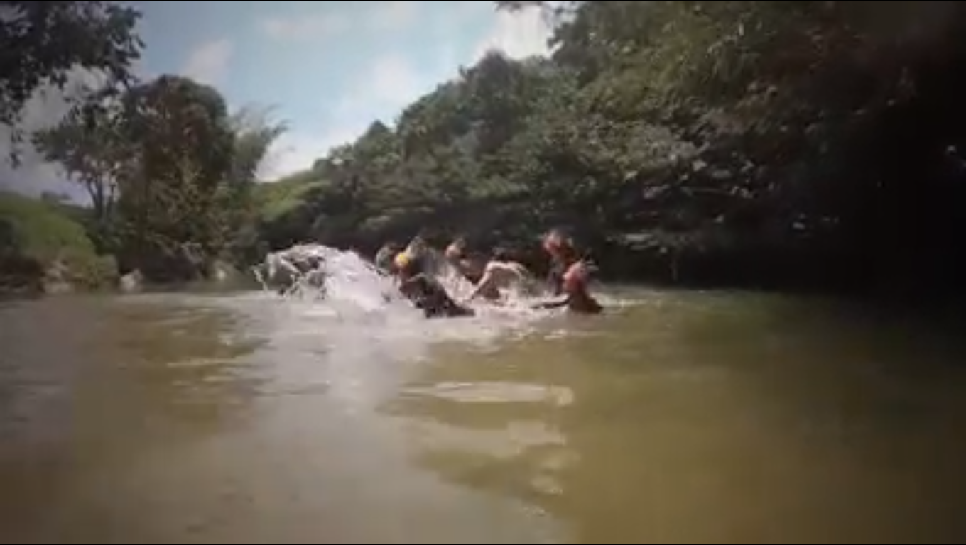 Imagen de galería